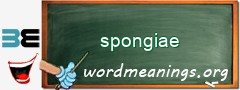 WordMeaning blackboard for spongiae